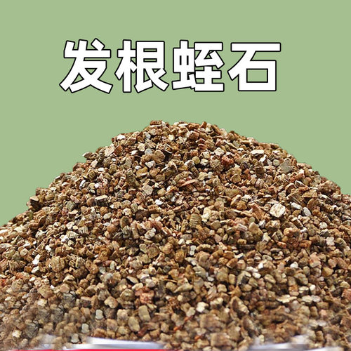 蛭石颗粒状珍珠岩发根扦插育苗