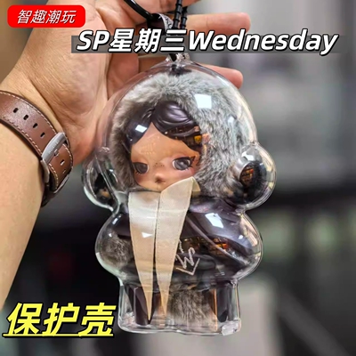 SP星期三保护壳毛绒收纳透明展示