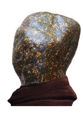 黄河梅花石彩玉玛瑙伟人相形石