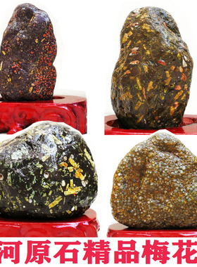 黄河天然原石精品奇石梅花彩玉