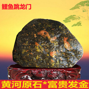 正宗黄河原石梅花玉石荷花石牡丹花象形石客厅天然精品奇石摆件