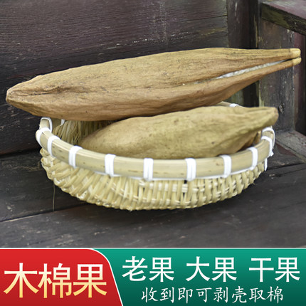 天然木棉果攀枝花枕芯有子木棉花有籽木棉带籽木棉枕头填充料含壳