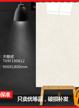 东鹏瓷砖天鹅绒T09F190612 192000 192500 192501 192001 192004