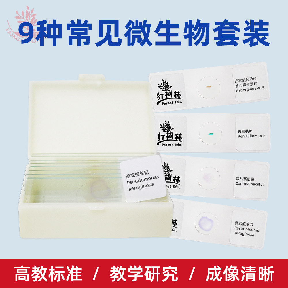 9种常见微生物细胞显微镜标本套装高教标准医学院教学研究用玻片