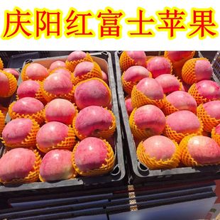 西北甘肃特产庆阳苹果冰糖心红富士苹果子嘎啦元帅乔纳金新鲜水果