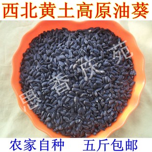 胜新疆葵花籽500g特价 庆阳农家油葵瓜子 零美食品 西北甘肃土特产