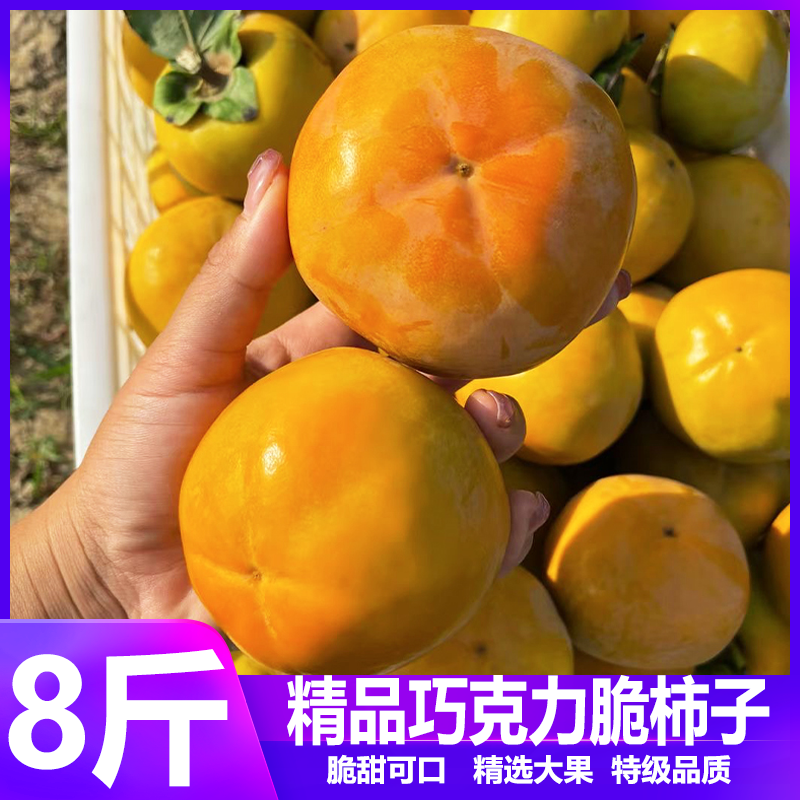 巧克力脆柿甜脆多汁精选大果