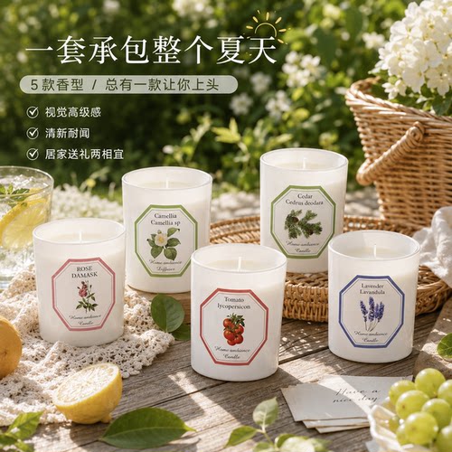 高颜值耐闻大豆蜡香薰蜡烛200g