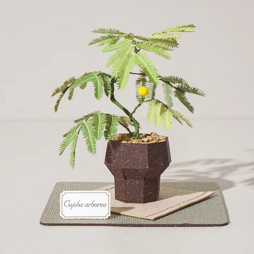 【纸模植物】jeancard立体纸风景3D镭射diy材料包小豆树纸模