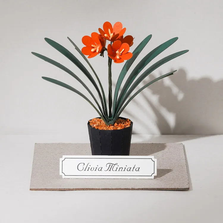 【迷你纸模植物】jeancard立体纸雕3d镭射diy材料包君子兰纸模型,模玩/动漫/周边/娃圈三坑/桌游,其他类型纸模,淘宝优惠券,粉丝福利购,淘宝优惠卷