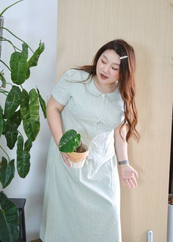 zooobaby大码女装韩系甜美娃娃领收腰微胖套装小衫伞裙显瘦两件套