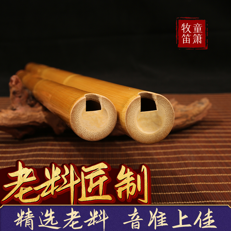 牧童黄玉竹精制专业一节八孔短洞箫演奏儿童成人入门古风乐器初学