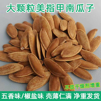 新森五香味美指甲型南瓜子500g椒盐味长粒美人甲南瓜籽炒货零食