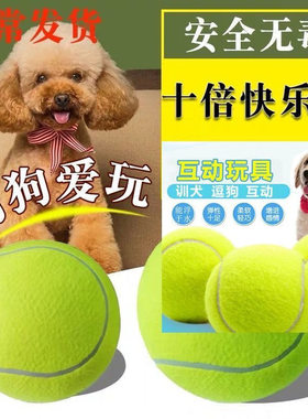 【包邮】狗狗玩具球边牧金毛逗狗遛狗训犬耐咬磨牙小狗宠物狗网球