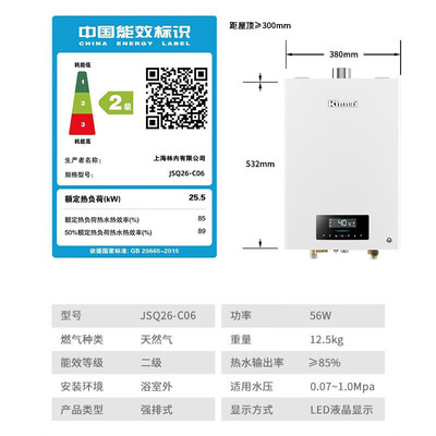 Rinnai/林内 JSQ26-D06