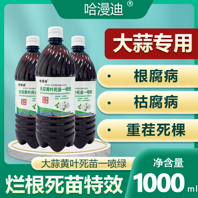 大蒜细菌性软腐病大蒜叶枯病特效药大蒜叶枯大蒜黄叶死苗一喷绿