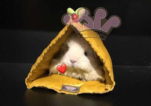 tspp【糖三角】玩具荷兰猪
