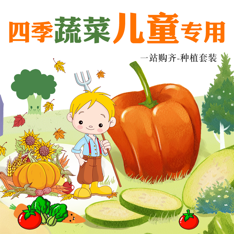 幼儿园盆栽易种可食用樱桃萝卜