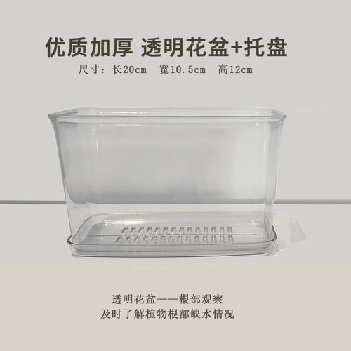 PP塑料简约全透明花盆无毒无异味