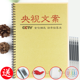 央视文案金句字帖摘抄撒贝宁董卿经典语录楷书行楷正能量硬笔练字