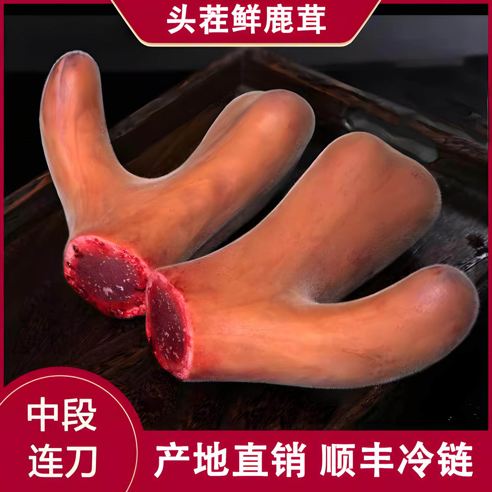 鲜鹿茸头茬梅花鹿整根泡酒专用正品片新鲜带血整枝鹿茸片