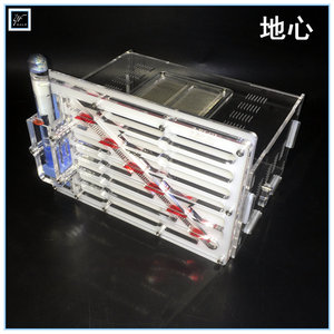 蚁巢宠物活体夜风之声蚂蚁工坊