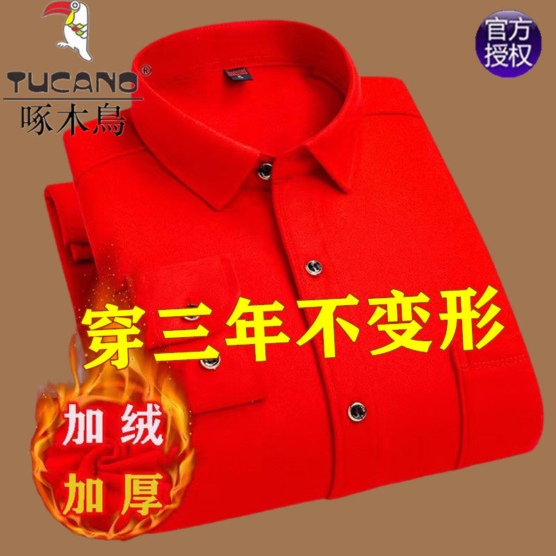 啄木鸟本命年大红色保暖衬衫男长袖加绒加厚一体衬衣中老年爸爸装