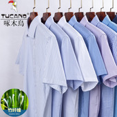 衬衣男爸爸装 啄木鸟夏季 衬衫 中年商务休闲条纹长袖 竹纤维男士 短袖