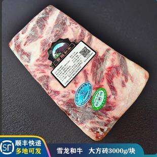 国产【雪龙和牛】大方砖腹肉涮肉整切压块涮肉烤肉口感鲜嫩划算