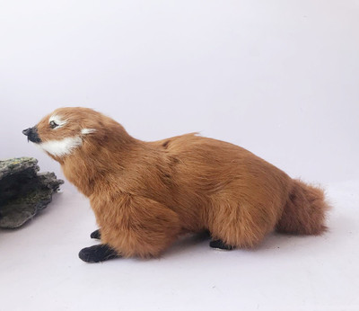 动物模型真皮仿真黄鼠狼 黄鼬 貂黄摆件摄影道具玩具摆件