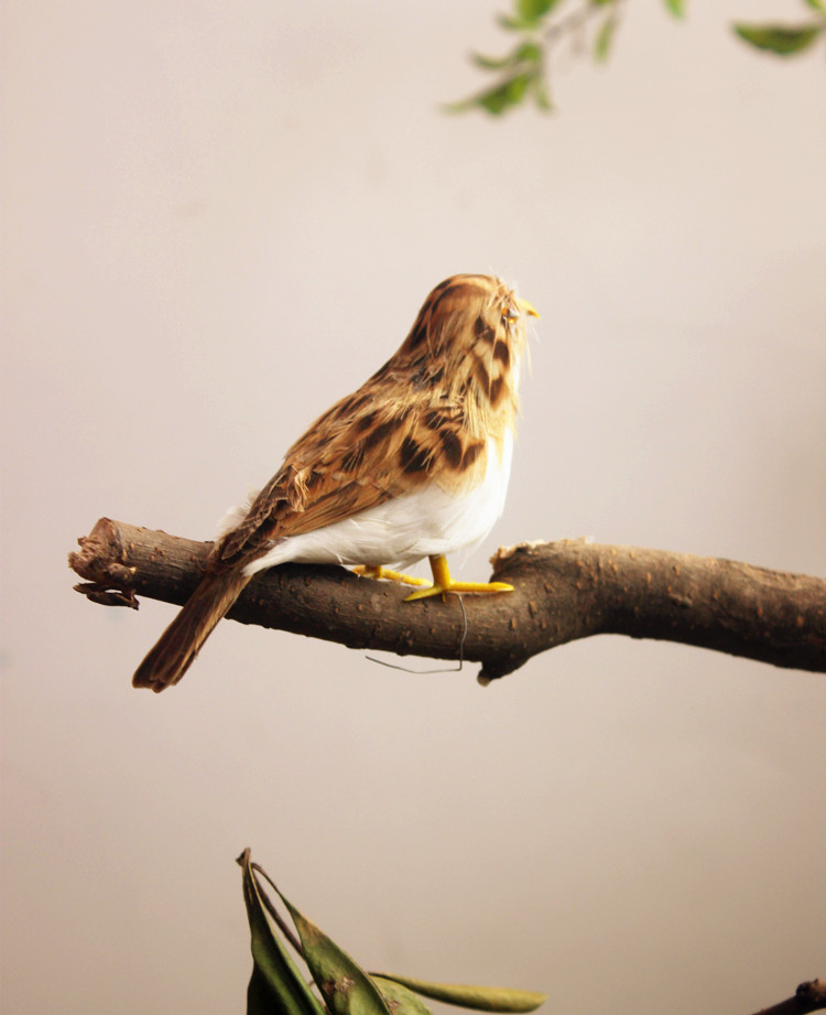 动物模型仿真麻雀喜鹊