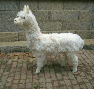 动物模型 仿真羊驼 皮毛手工艺品摄影道具玩具 园林场所装饰摆件