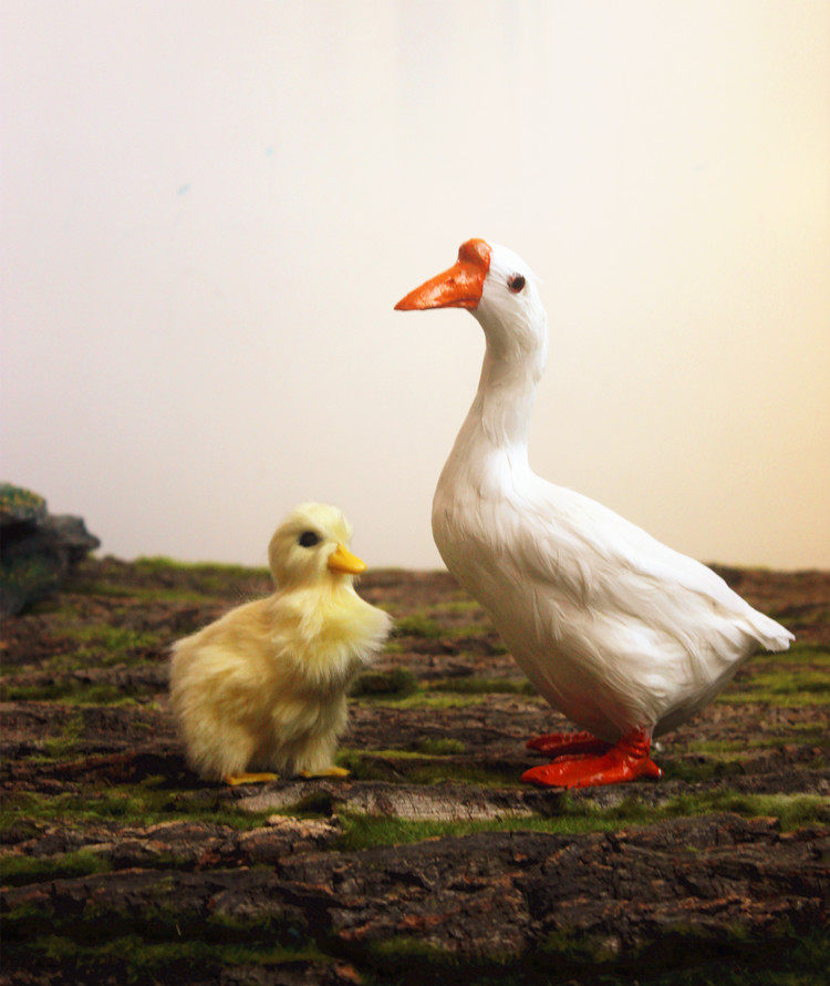动物模型 仿真鸭鸭苗仔雏鸭苗仿真鹅苗摄影教科道具用品
