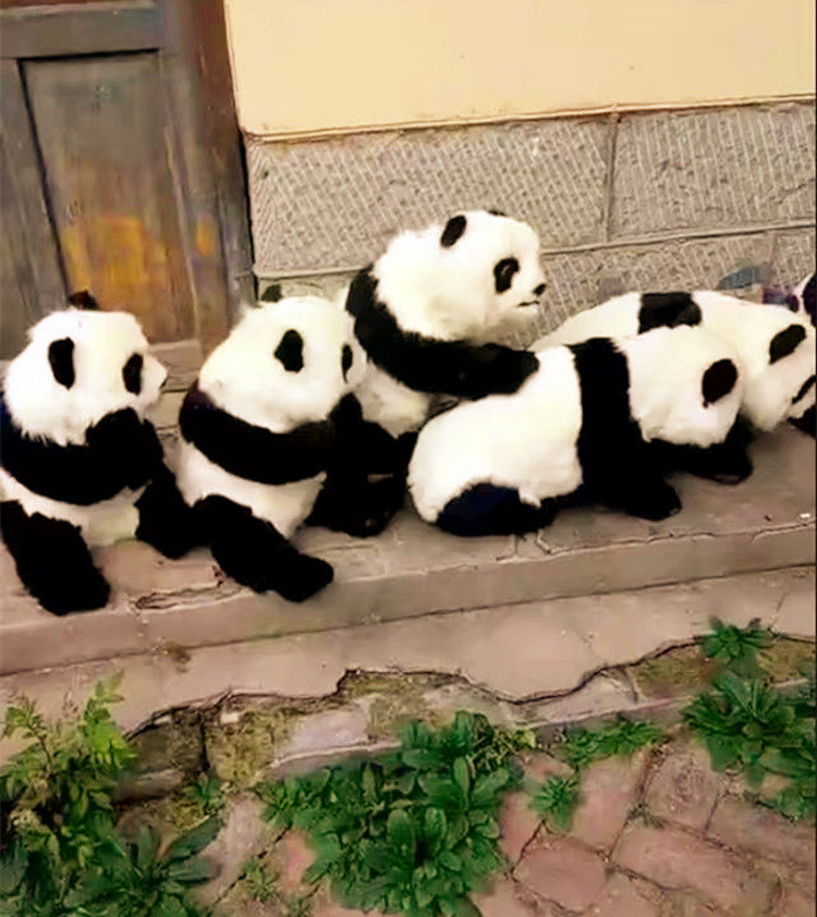 动物模型仿真熊猫摄影道具