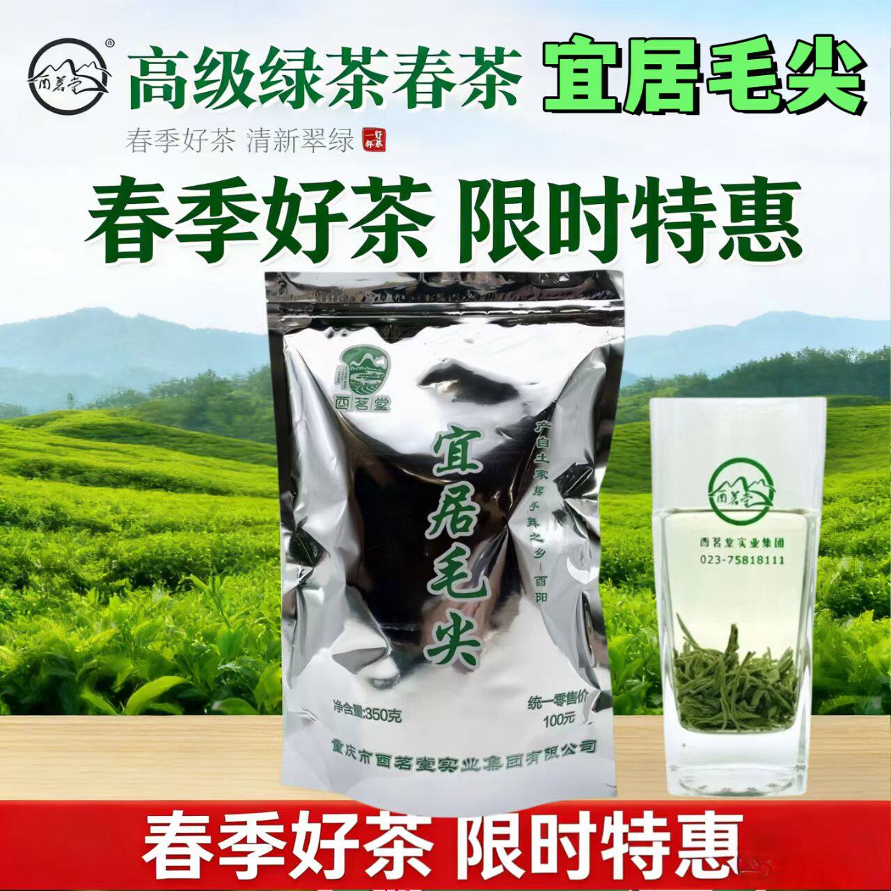新茶绿茶2026毛尖嫩芽清茶叶荼叶散装优质重庆酉阳宜居毛尖茶350g