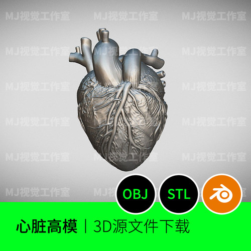 心脏器官适合3D打印模型三维素材文件下载STL建模507