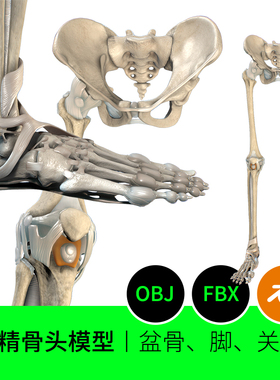 腿骨盆骨骨头解剖3D模型素材下载脚大腿小腿关节OBJFBXBLENDER127