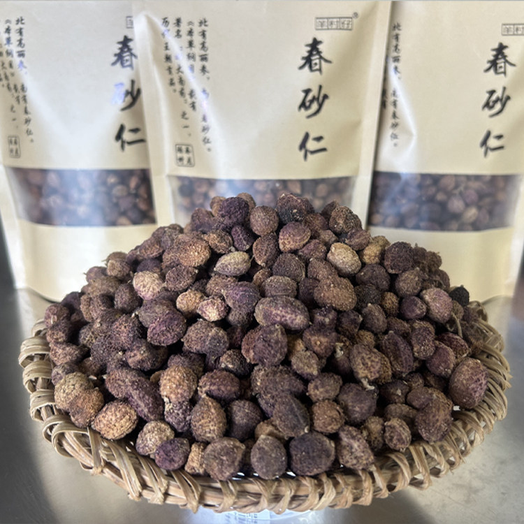 羊村仔春砂仁天然食用农产品阳春特产正宗春砂仁干果包邮