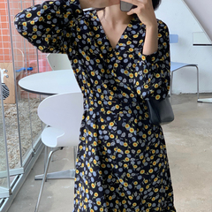 New Chiffon Long Sleeve Dress