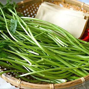 鲜嫩农家泥蒿青蒿离蒿苔去叶切根藜蒿藜蒿芦蒿