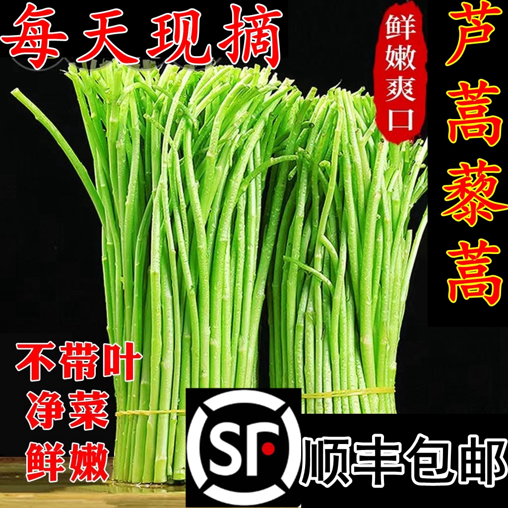 芦蒿新鲜蔬菜3斤泥蒿去叶藜蒿净菜野菜鲜嫩蓠蒿现摘现发黎蒿