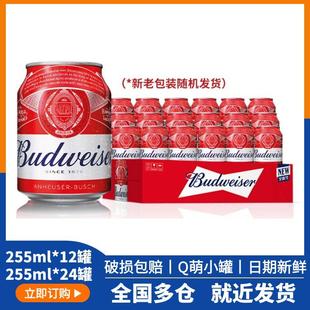 百威拉格啤酒255ml整箱装 迷你小罐红罐mini罐日期新冰啤24瓶 经典