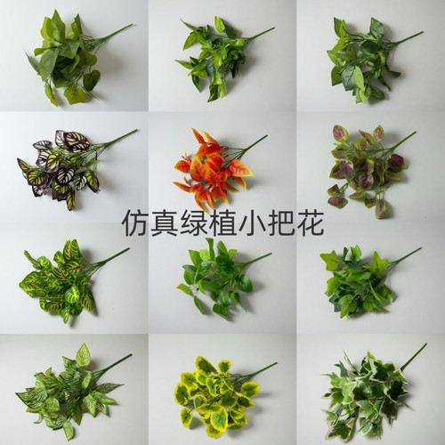 仿真假绿萝植物波斯草装饰背景墙插花摆设绿叶子万年青塑料假绿植