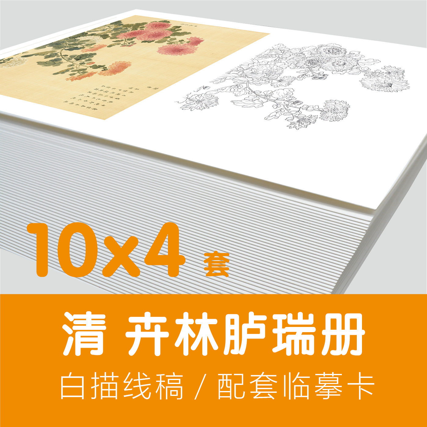 清卉林胪瑞册古代花卉国画册页彩色绘画手绘白描线稿勾线描临摹卡