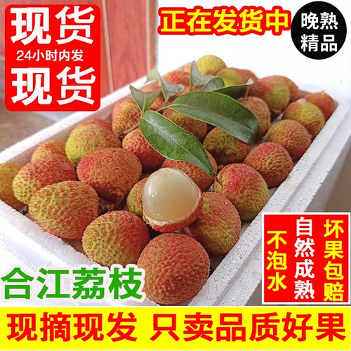 2026荔枝新鲜现摘现发 晚熟马贵荔鲜采5斤整箱老树水果非仙进奉