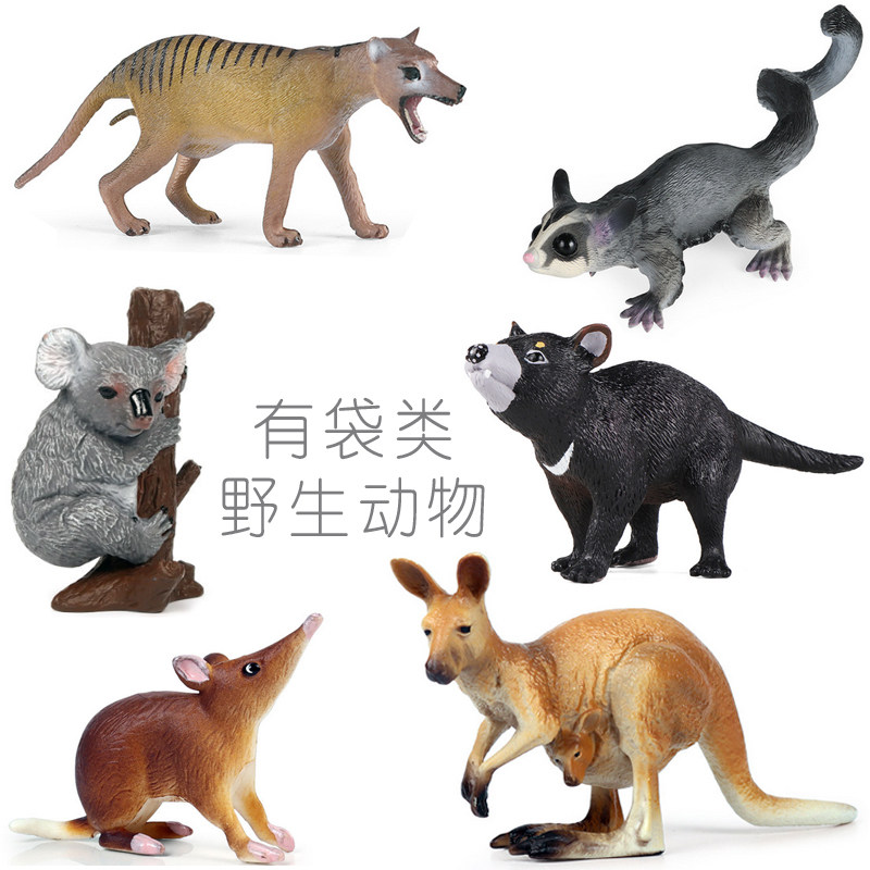 有袋类野生动物玩具袋獾袋鼯袋鼠树袋熊负鼠史前袋狼儿童认知模型