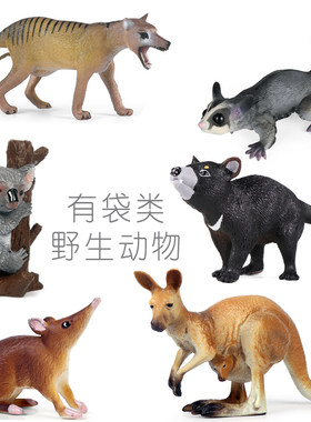 有袋类野生动物玩具袋獾袋鼯袋狼