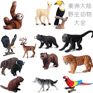硬塑美洲大陆野生动物玩具树懒吼猴箭毒蛙巨嘴鸟郊狼食人鲳小摆件
