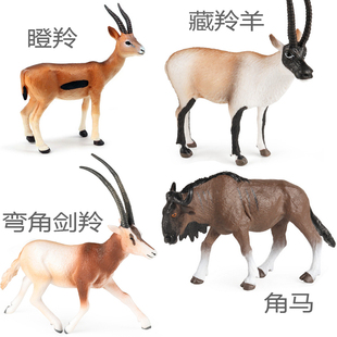 中国藏羚羊仿真模型叉角羚弯角剑羚瞪羚角马儿童认知玩具科普摆件