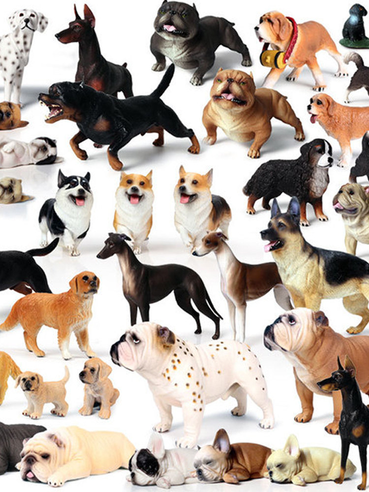 단단한 플라스틱 개 장식품 사나운 개 22종의 시뮬레이션 모델 사냥하는 양치기 개 어린이 인지 놀이 집 장난감